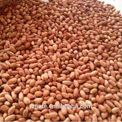 china good quality oil extractor peanuts