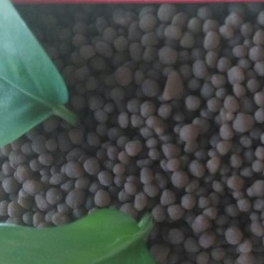 dap fertilizer 18-46-0